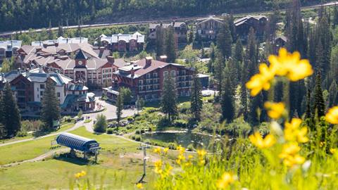 View of Solitude Village in the summer from the slope with wildflowers