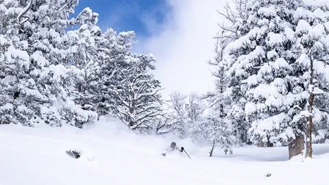 Skier skiing deep pow at Solitude Mountain Resort