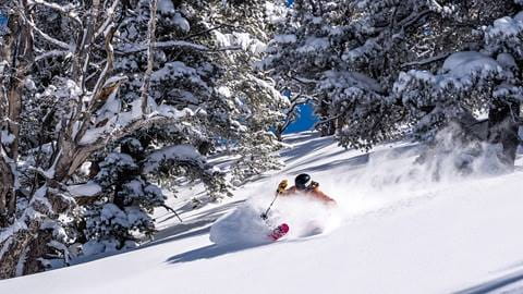 Skier making a powder turn on a sunny day at Solitude Mountain Resort
