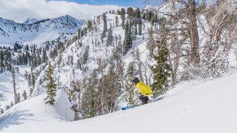 Skier skiing powder groomers on sunny day